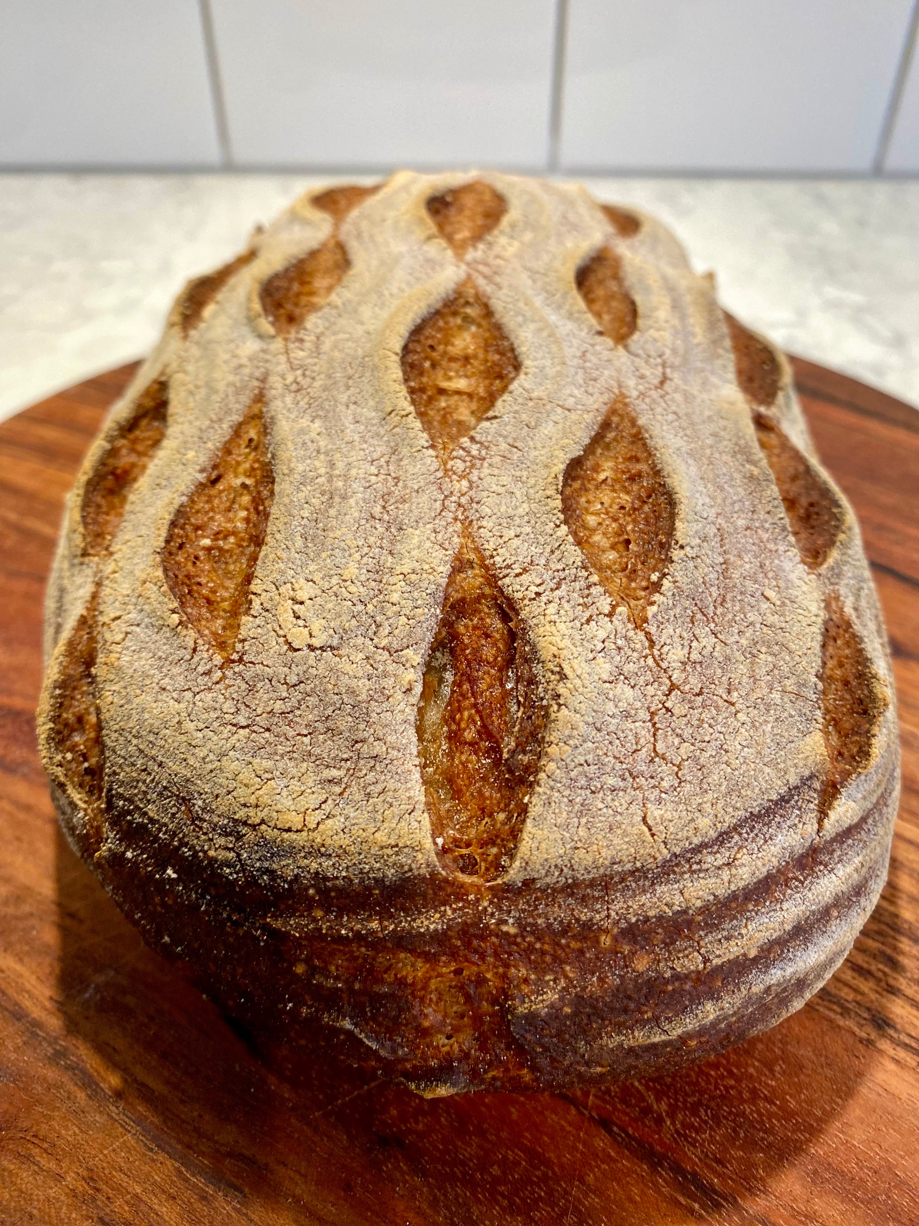 Gluten-free Sourdough Levain Bread Mix V2.0